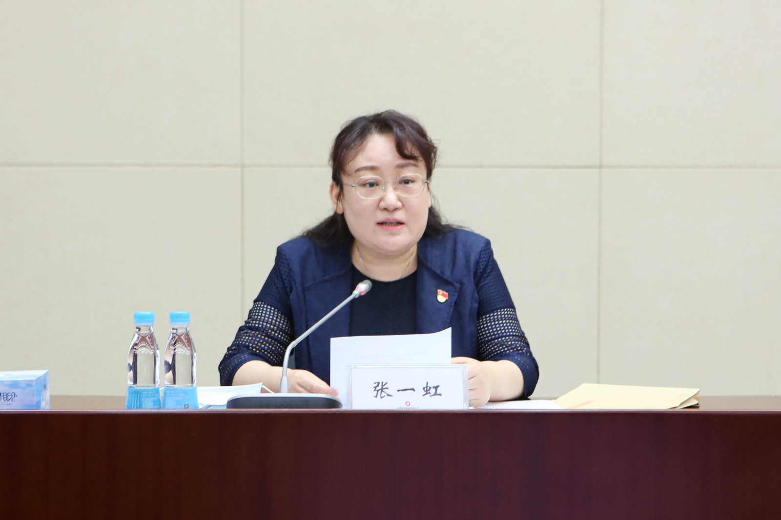 巡视办掌管同道张一虹选用.jpg