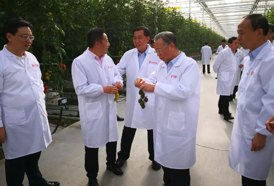 ca88手机客户端(安卓/苹果)CA88会员登录入口