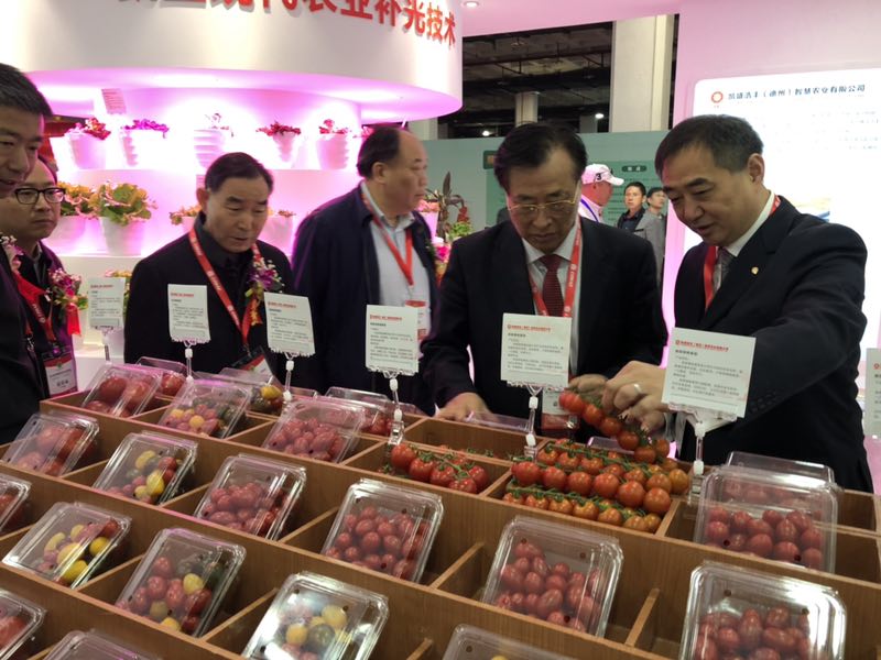 ca88手机客户端(安卓/苹果)CA88会员登录入口