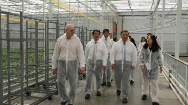 ca88手机客户端(安卓/苹果)CA88会员登录入口