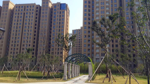 ��ҳ_�౦ƽ̨_�౦��������δ��