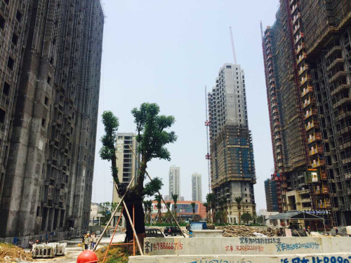 ��ҳ_�౦ƽ̨_�౦��������δ��