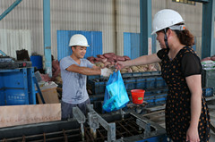 ��ҳ_�౦ƽ̨_�౦��������δ��