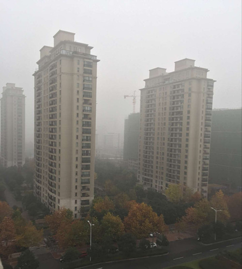 ��ҳ_�౦ƽ̨_�౦��������δ��