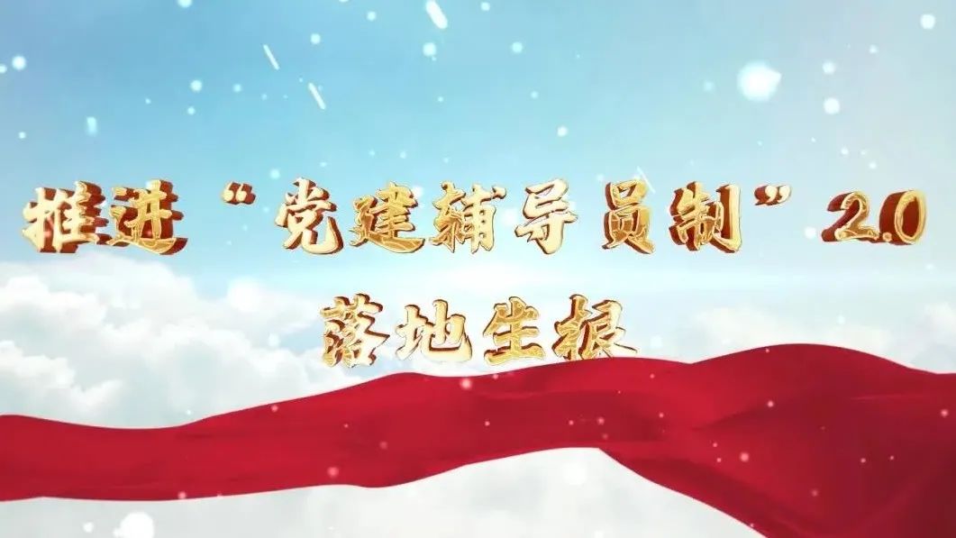  党建经营融合十佳案例④ | 西南水泥——“领导员造”+“进建型组织”，让党建成为看得见的“出产力” 