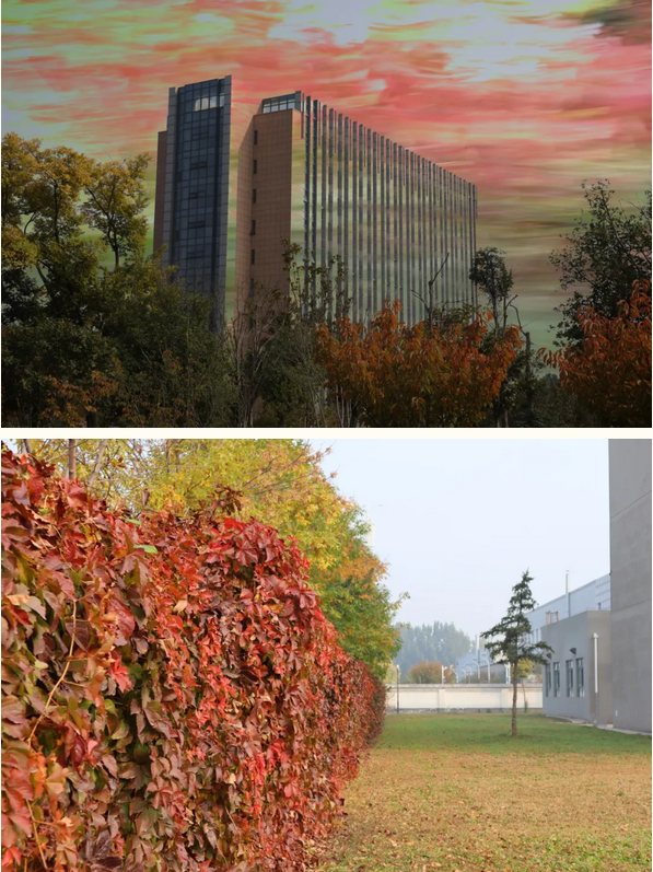 image.png image.png
