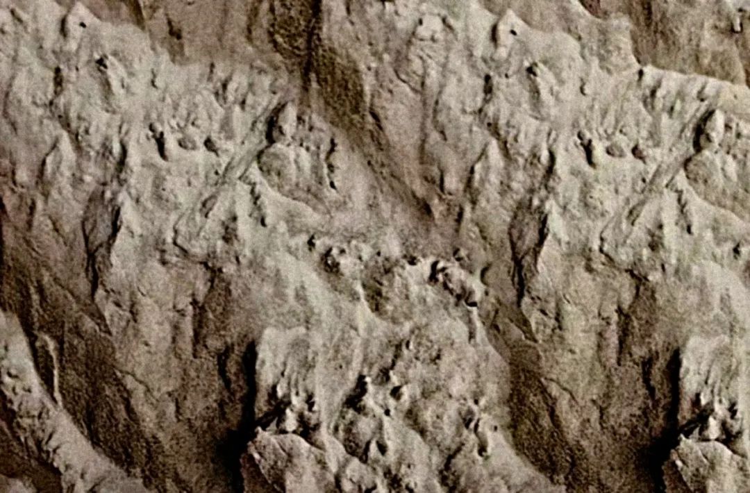 2023112010404488405 2023112010404488405